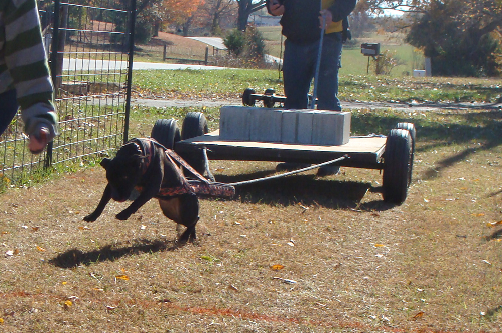 IWPA Weight Pull