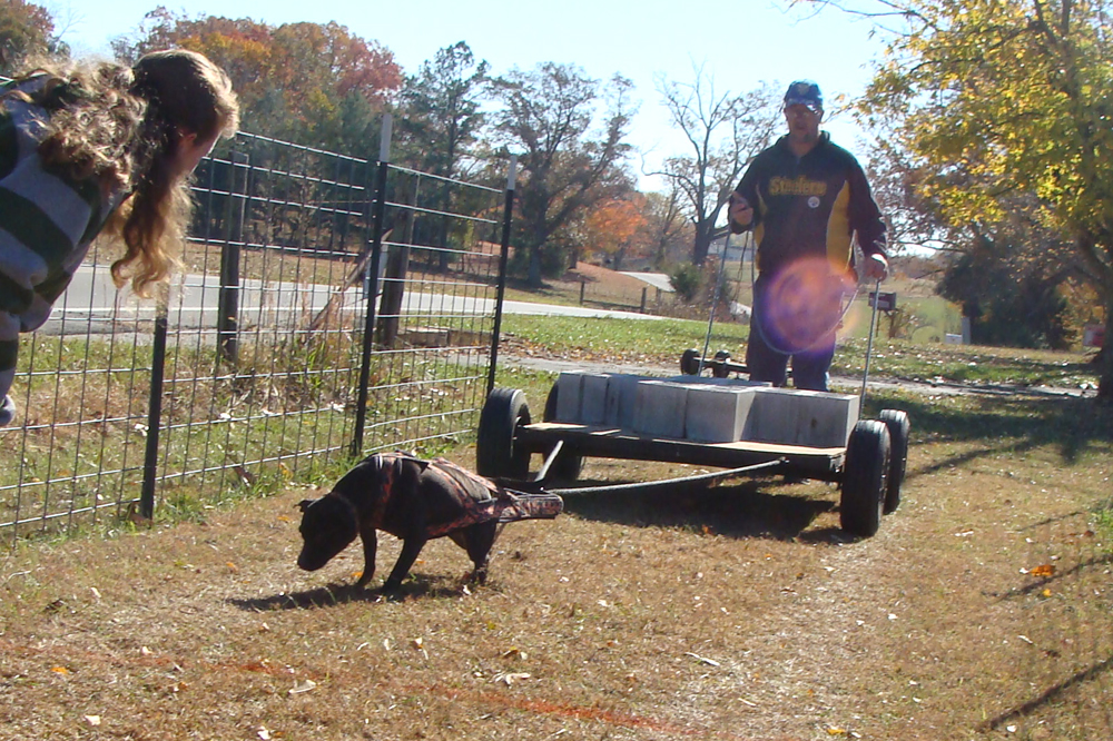 IWPA Weight Pull