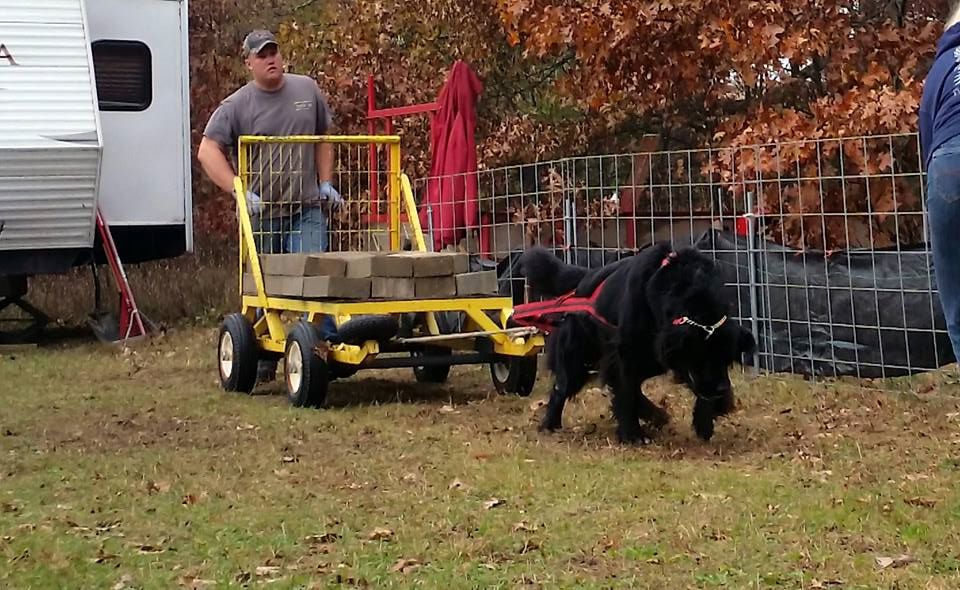 IWPA Weight Pull