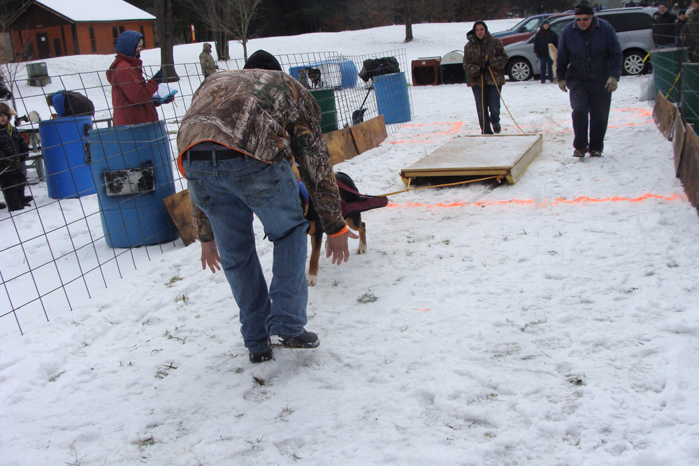 IWPA Weight Pull