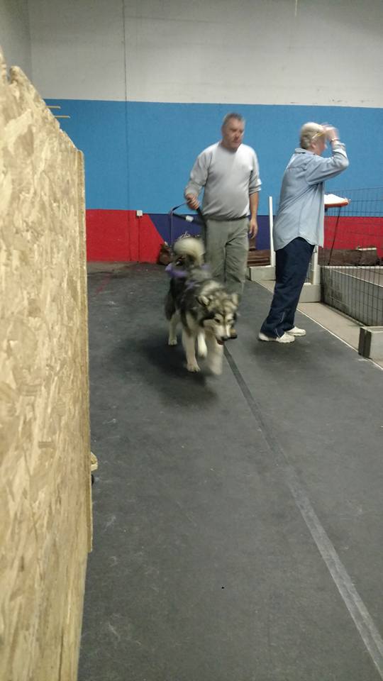 IWPA Weight Pull