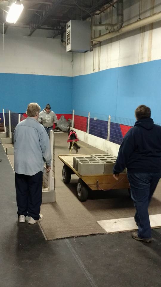 IWPA Weight Pull