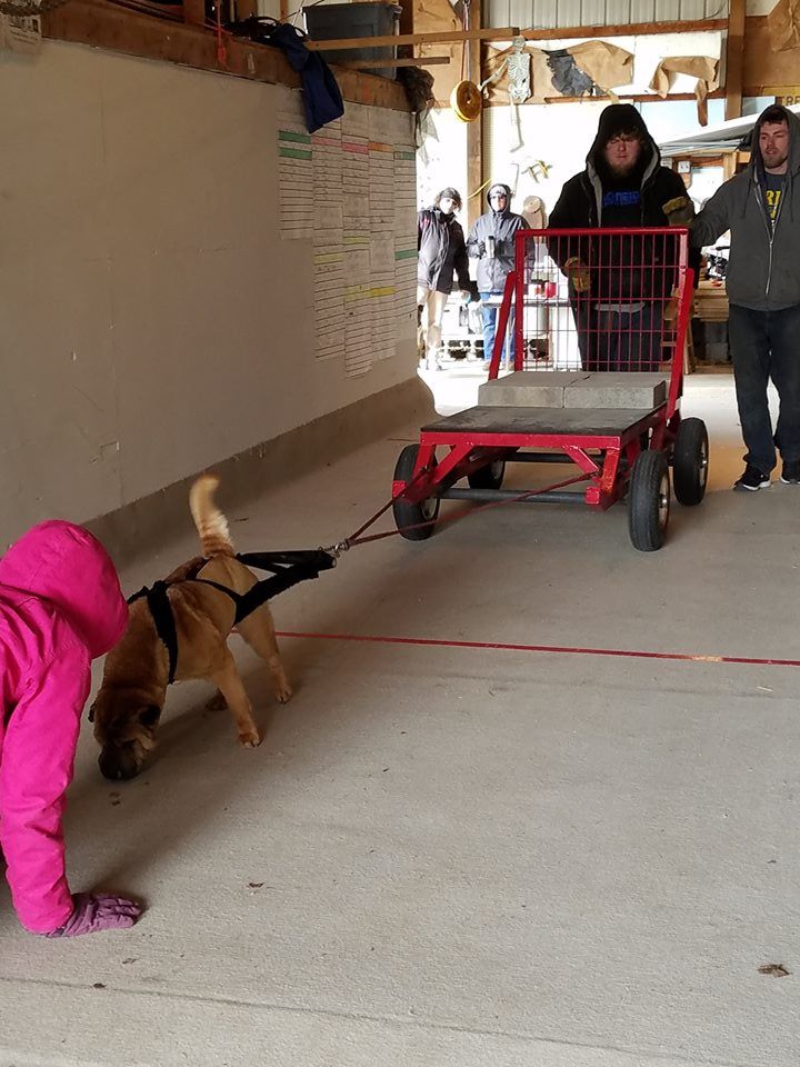 IWPA Weight Pull