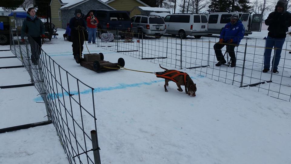 IWPA Weight Pull