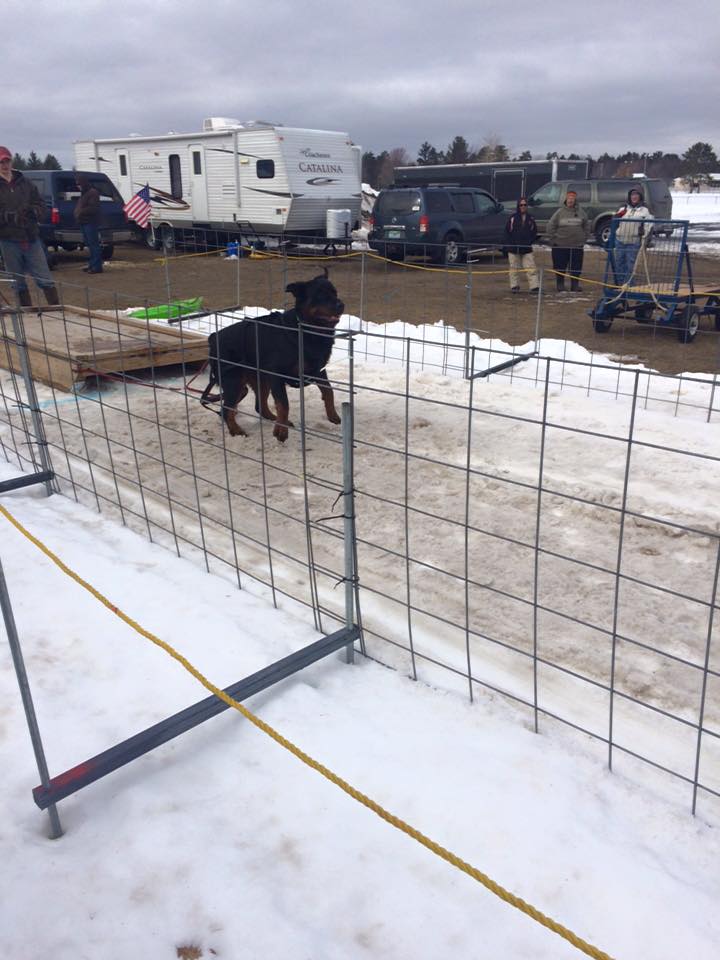 IWPA Weight Pull