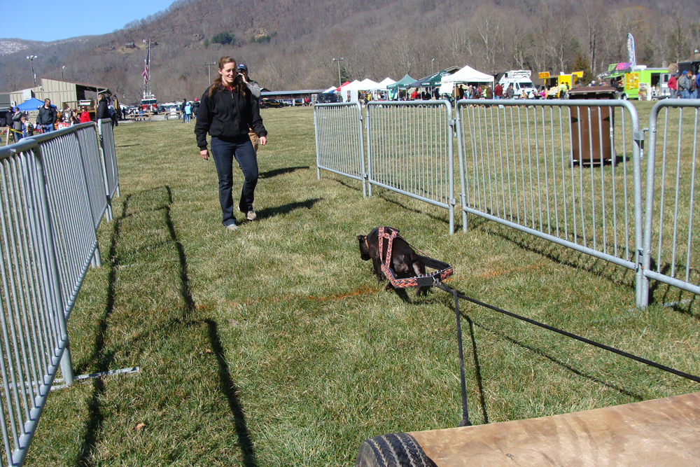 IWPA Weight Pull