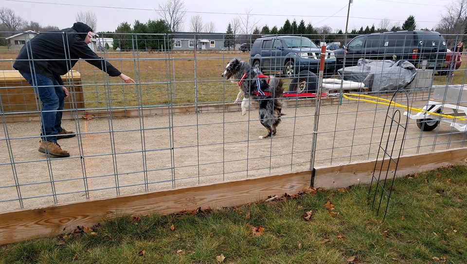IWPA Weight Pull