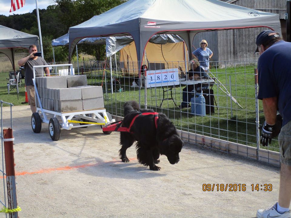 IWPA Weight Pull
