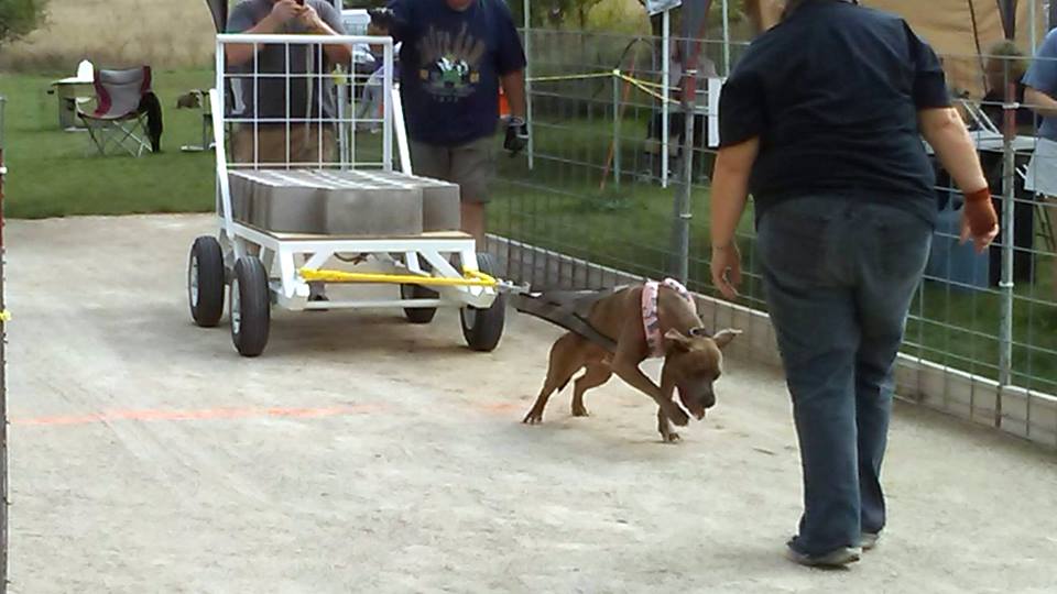 IWPA Weight Pull