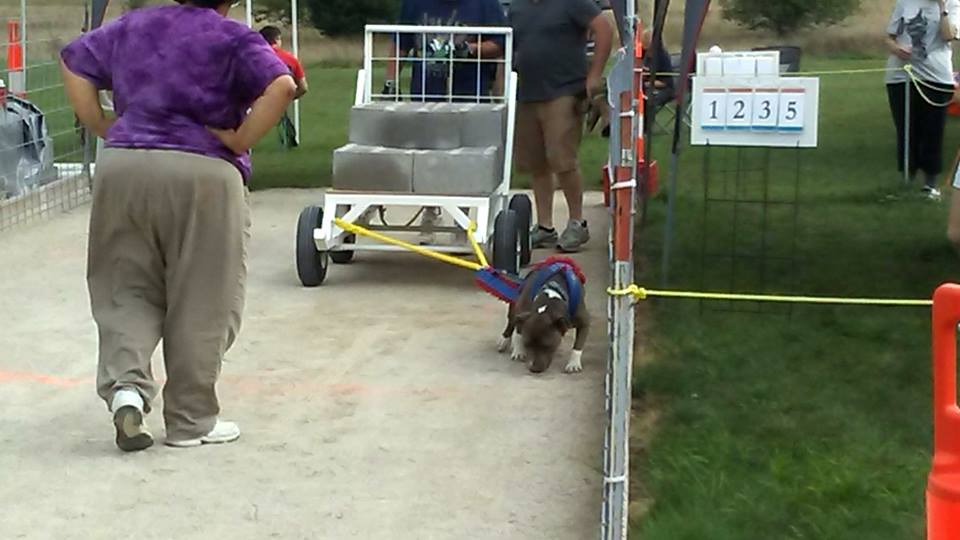 IWPA Weight Pull