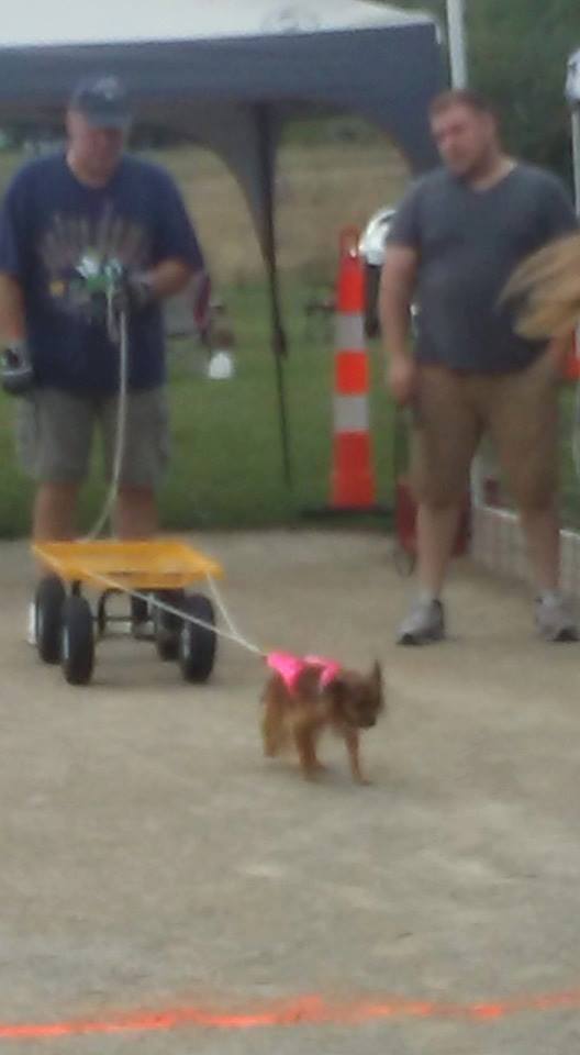 IWPA Weight Pull