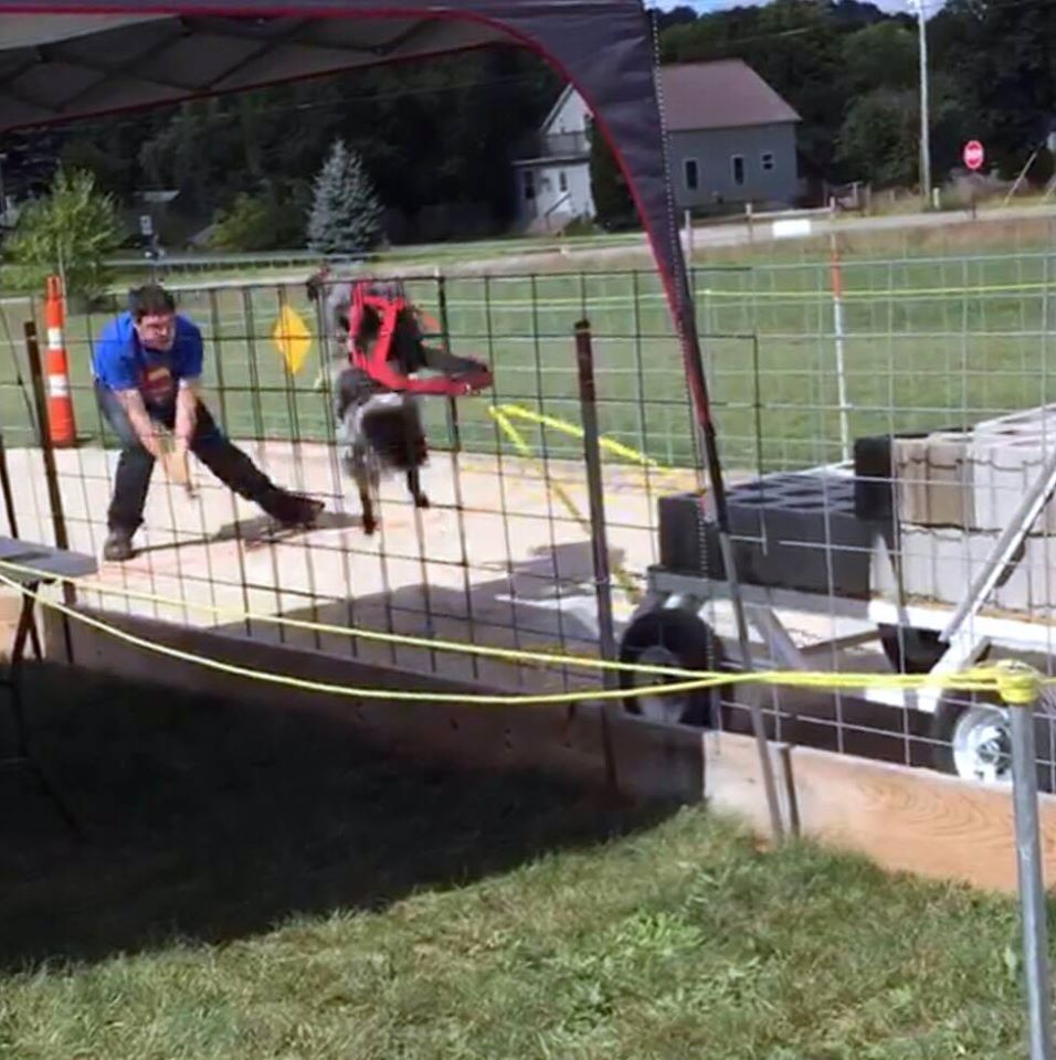 IWPA Weight Pull