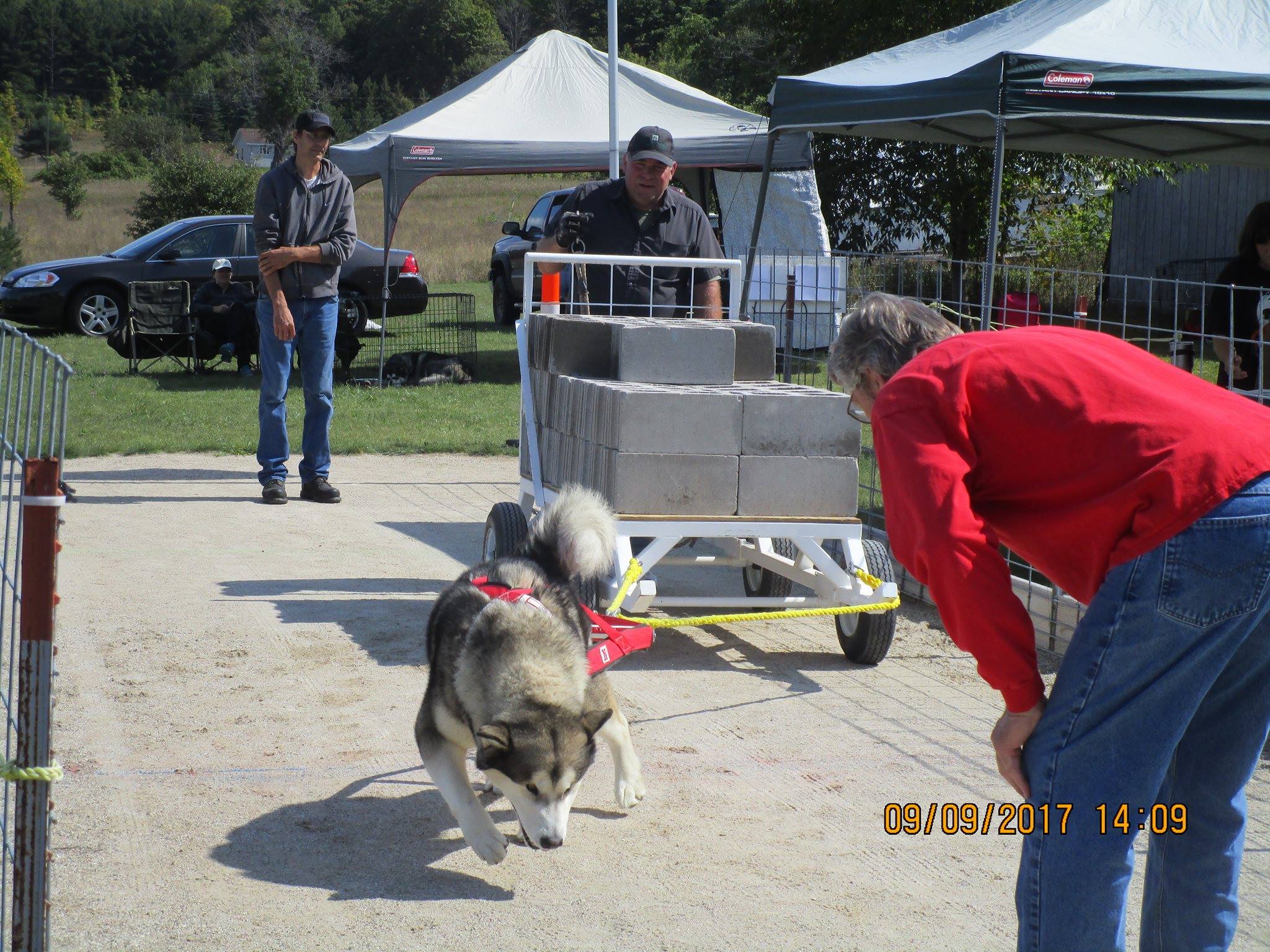 IWPA Weight Pull
