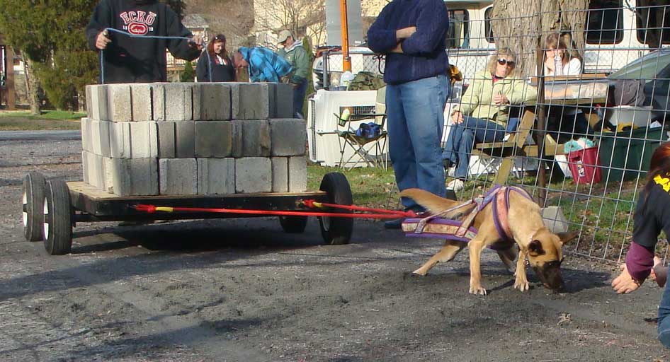 IWPA Weight Pull