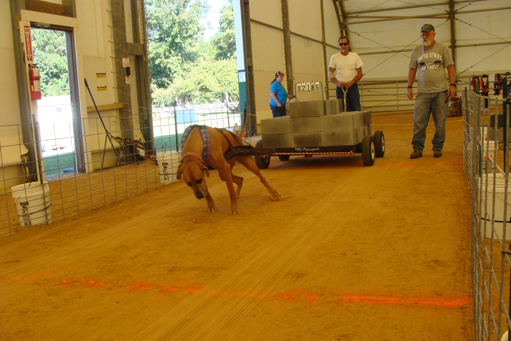 IWPA Weight Pull
