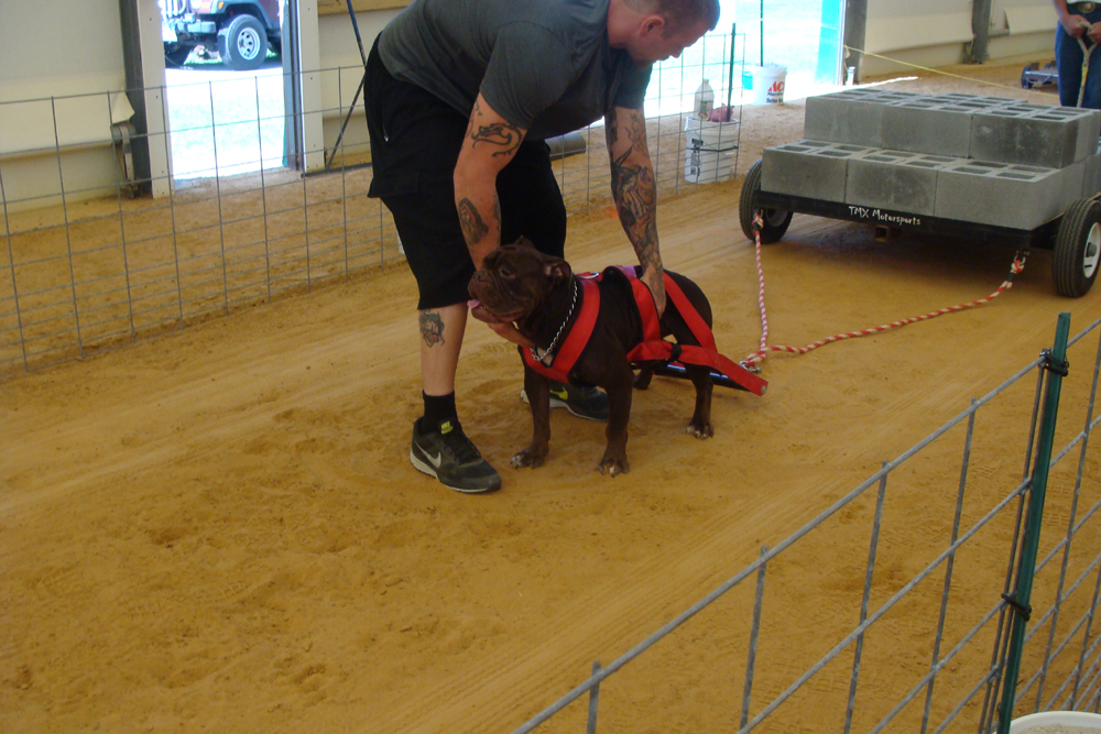IWPA Weight Pull