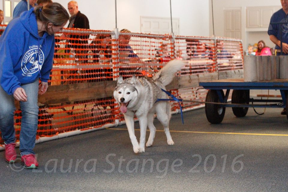 IWPA Weight Pull