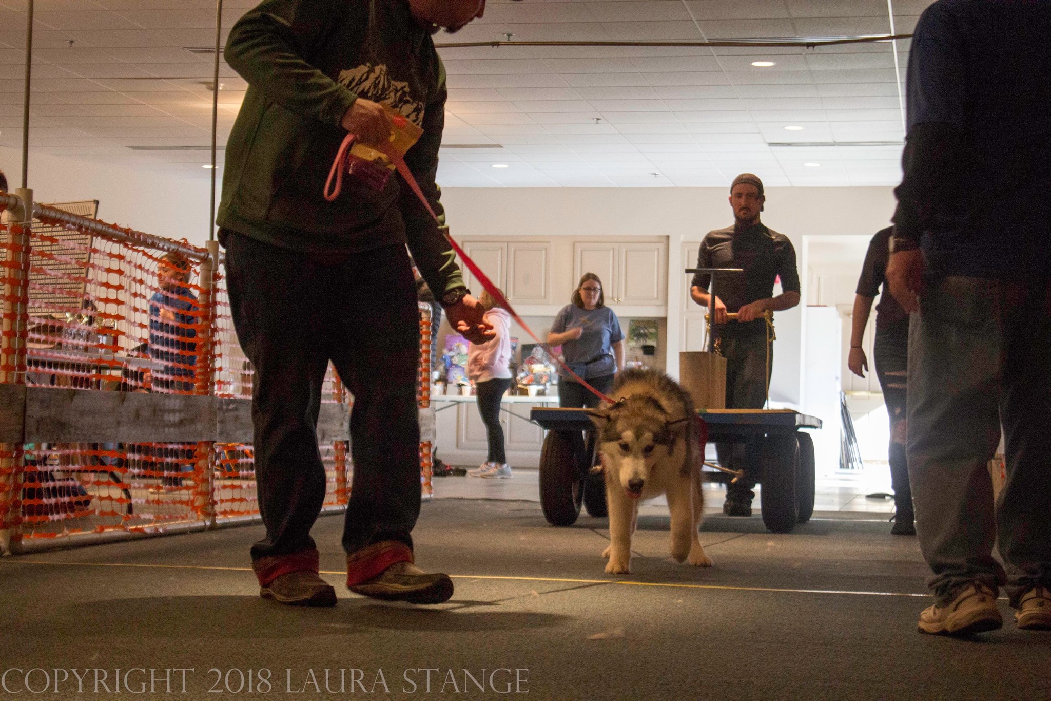 IWPA Weight Pull