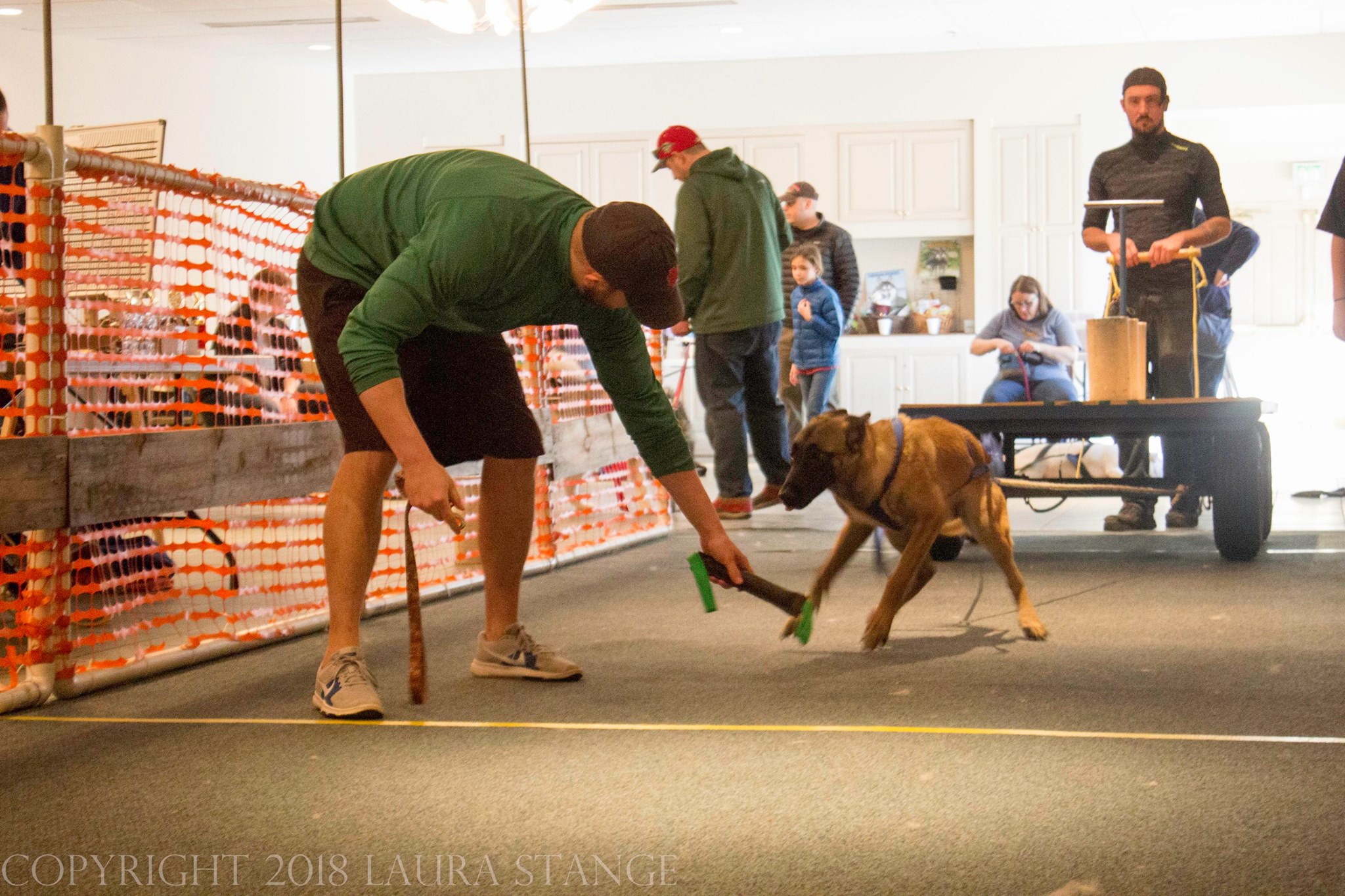 IWPA Weight Pull
