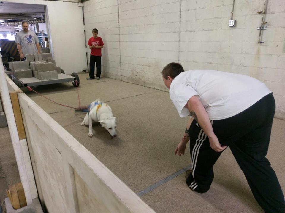 IWPA Weight Pull
