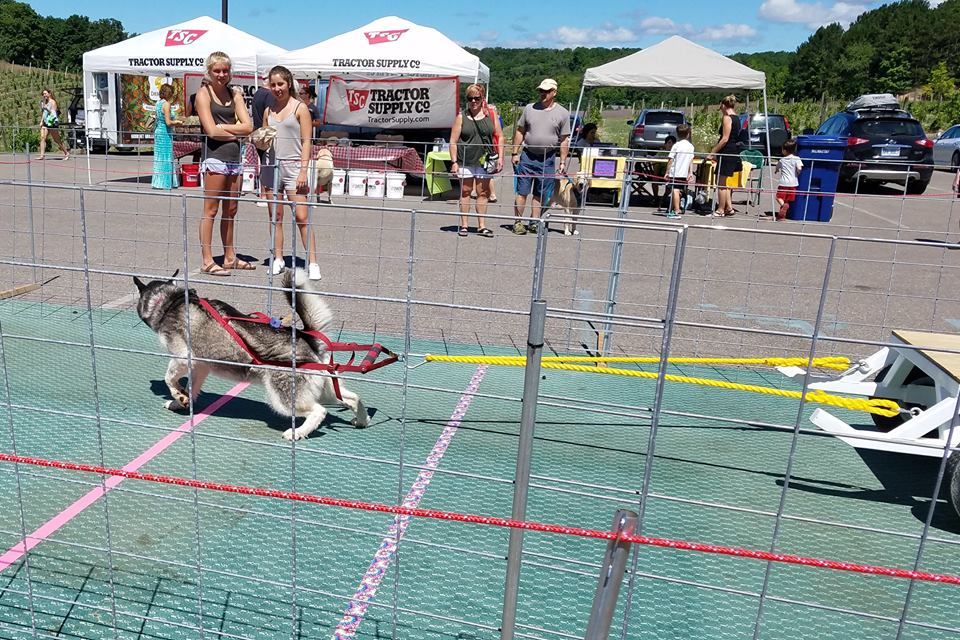 IWPA Weight Pull