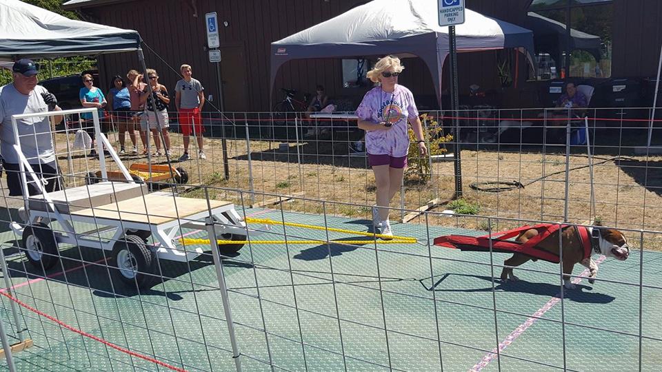 IWPA Weight Pull