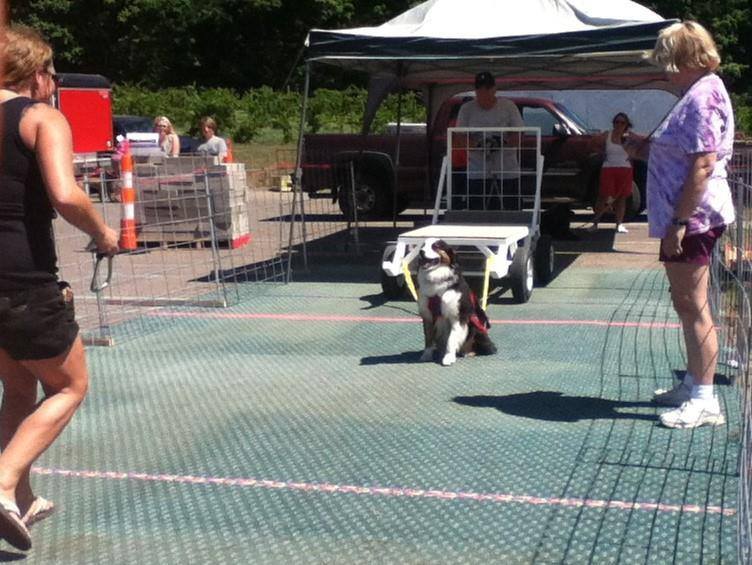 IWPA Weight Pull