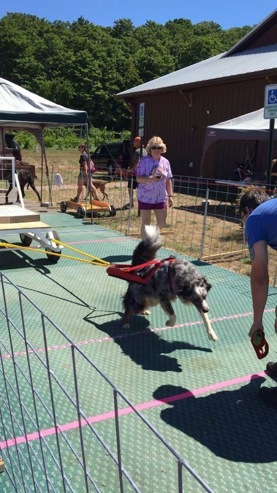 IWPA Weight Pull