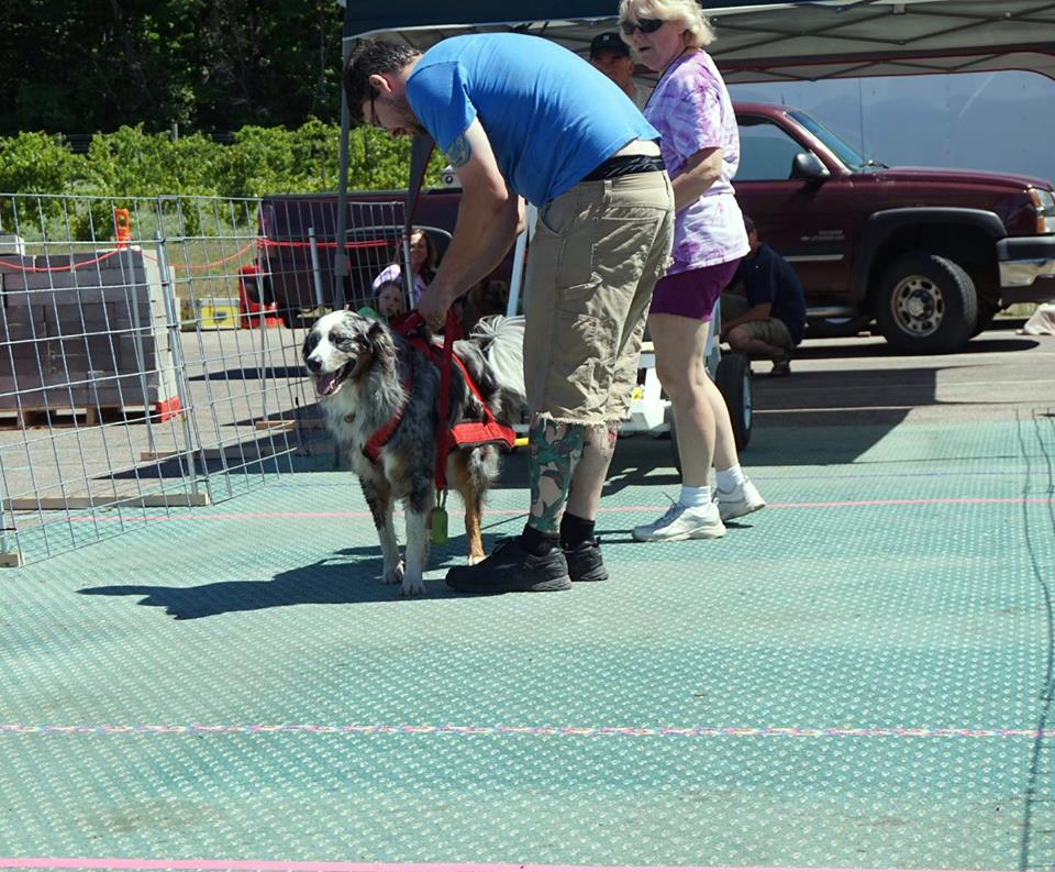 IWPA Weight Pull